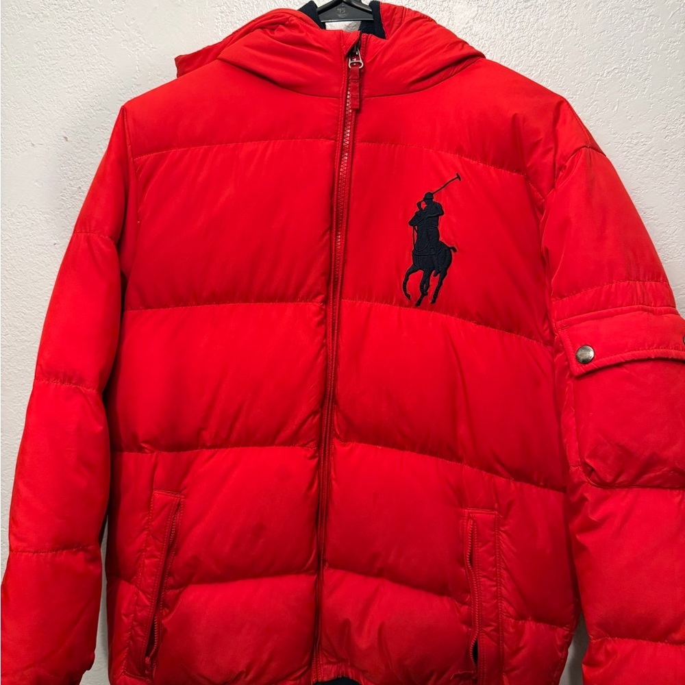 big pony puffer